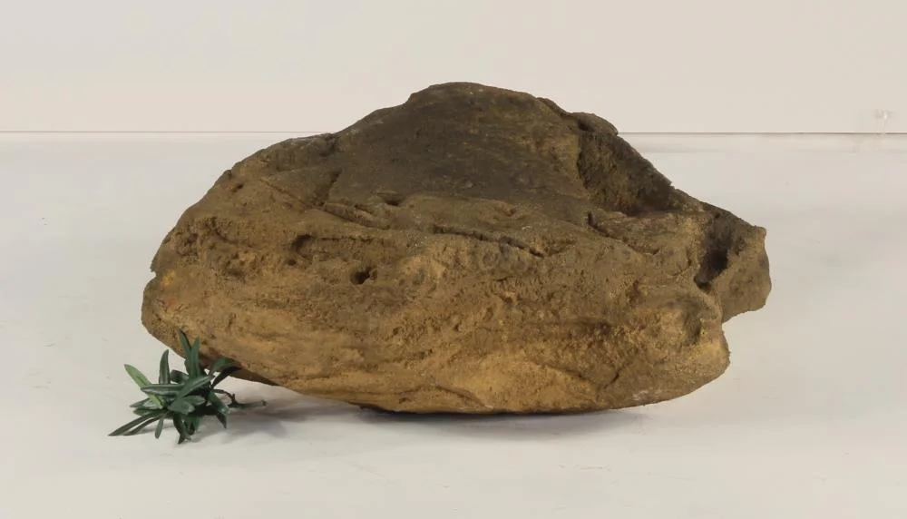 universalrocks-1000899