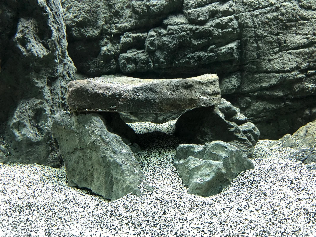 universalrocks-1002336