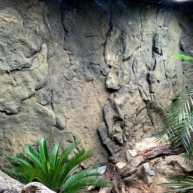 universalrocks-1003050