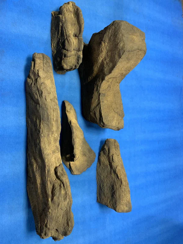 universalrocks-1003204