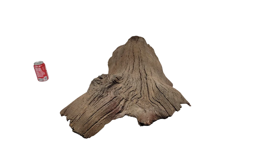 universalrocks-1006481