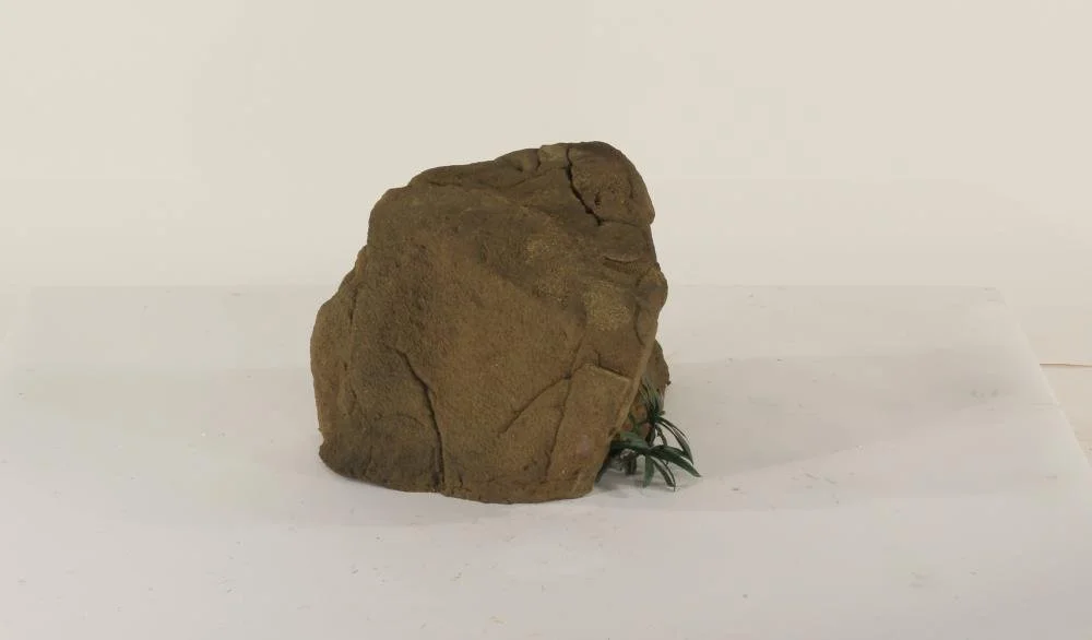 universalrocks-998626