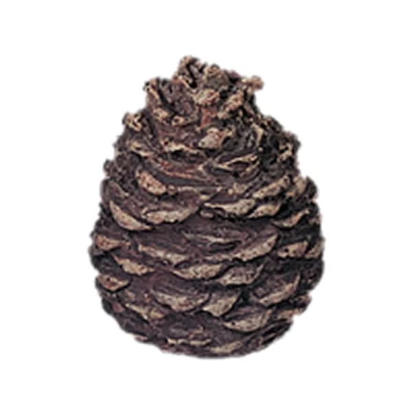 woodlanddirect-1013330