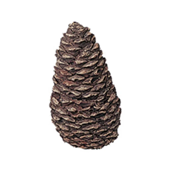 woodlanddirect-1013334